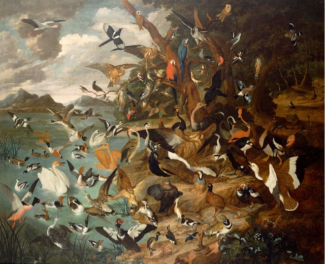 The Parliament of Birds by Carl Wilhelm de Hamilton 1668 1754